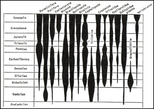 graphic