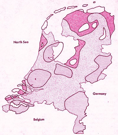 graphic